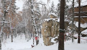 Экстремальные выходные с ЗВО